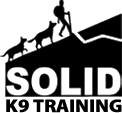 solid_logo