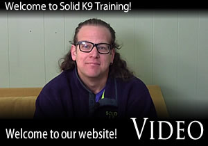 Welcome to Solid K9 Training
